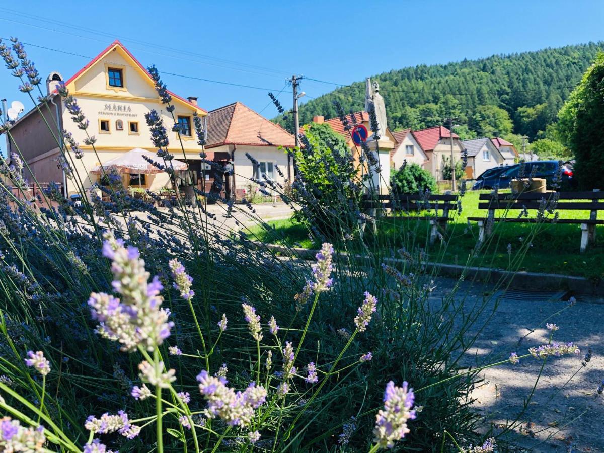 Maria Penzion & Restaurant Trencin Exterior foto