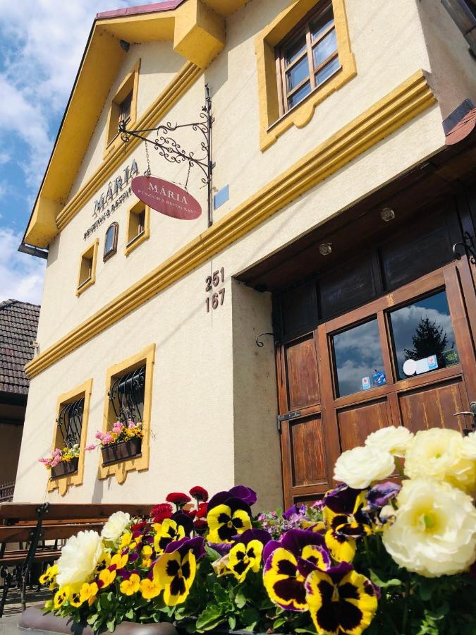 Maria Penzion & Restaurant Trencin Exterior foto